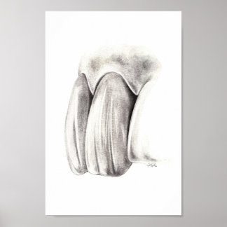 Poster de Odontologia Estética