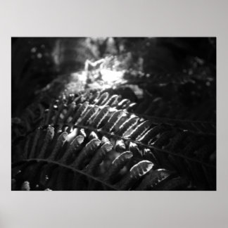 Poster de Olhar para a Luz