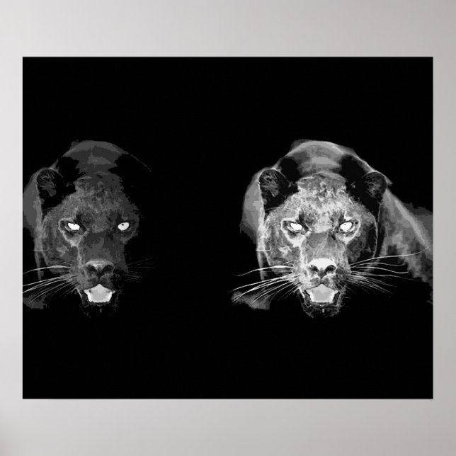 Pôster de Olhos de Gato Jaguar Preto Selvagem (Frente)
