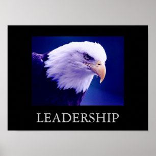 Poster de Olhos de Liderança Motivada
