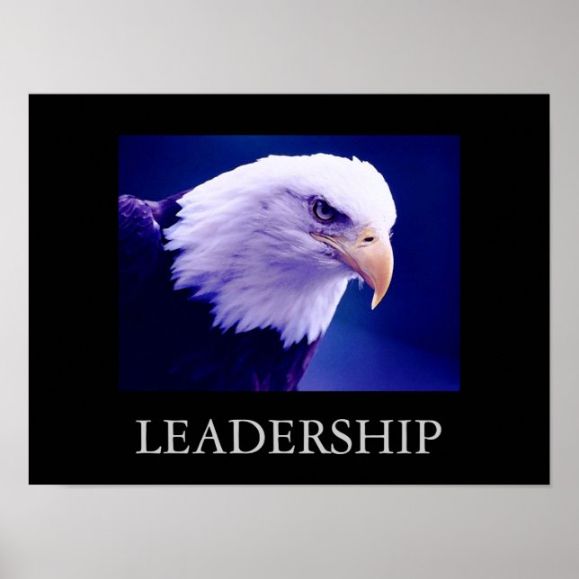 Poster de Olhos de Liderança Motivada (Frente)