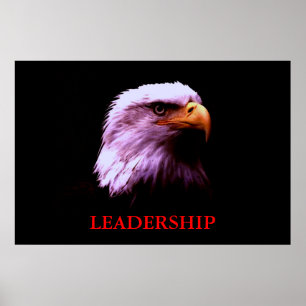 Poster de Olhos de Liderança Motivada