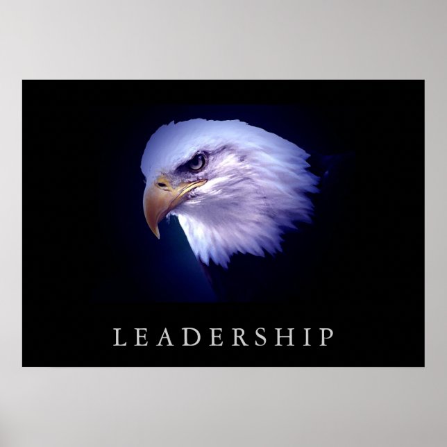 Poster de Olhos de Liderança Motivada (Frente)