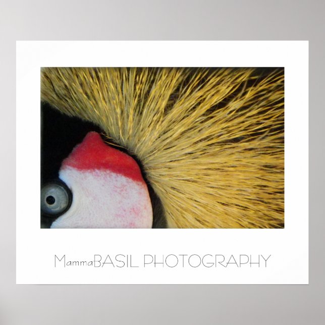 Poster de Olhos excelente! (Frente)