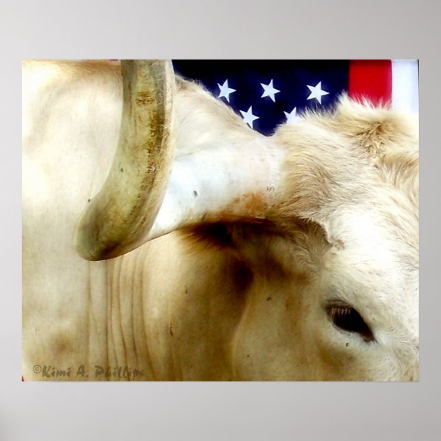 Poster de Orgulho do Texas (Frente)