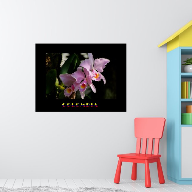 Poster de Orquídea Cattleya (Berçário 1)