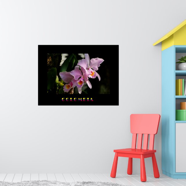 Poster de Orquídea Cattleya (Berçário 1)