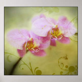 Poster de orquídeas