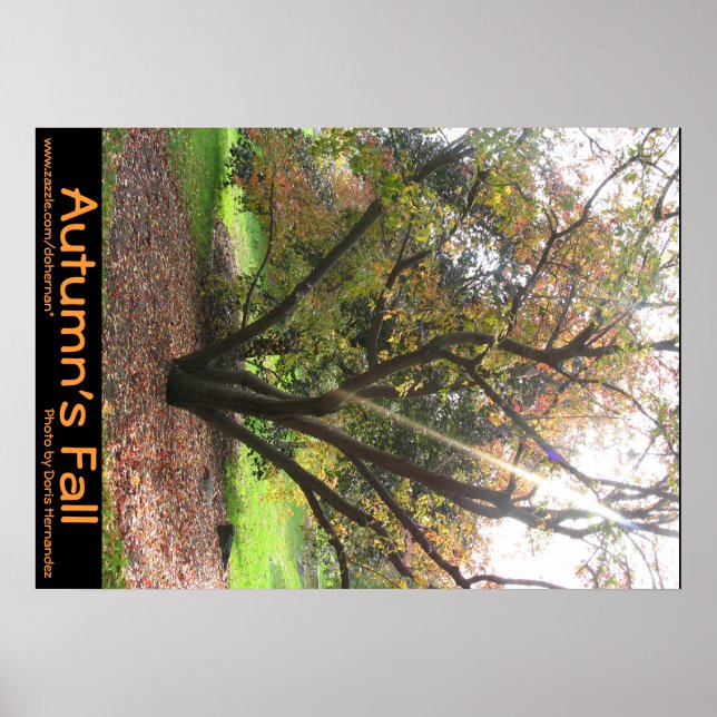 Poster de outono de Tree Light Ray Autumn (Frente)