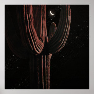 Poster De Outro Mundo — Nº 17