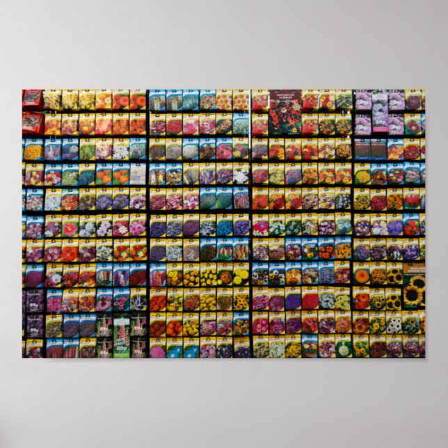 Poster de Pacote de Semente (Frente)