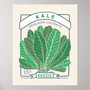 Poster de Pacote de Semente de Kale
