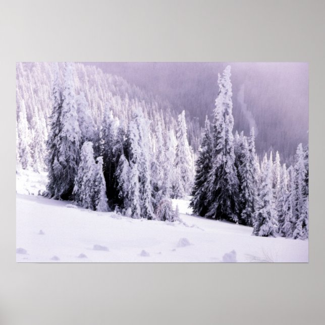 Poster de paisagem coberta por neve (Frente)