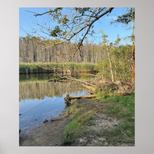 Poster de Paisagem de Árvores Inclinadas