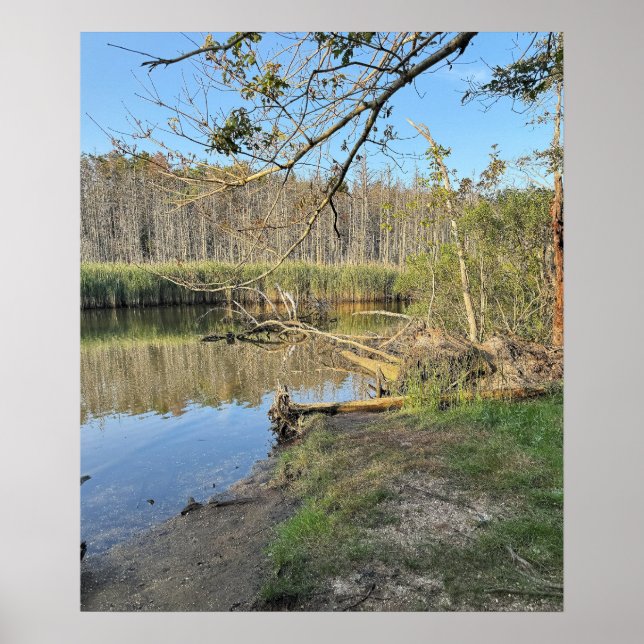 Poster de Paisagem de Árvores Inclinadas (Frente)