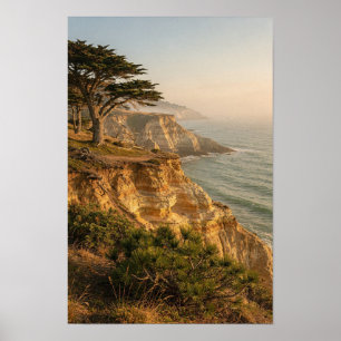 Pôster de paisagem de cipreste iluminado pelo sol 