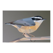 Poster de Paisagem Nuthatch de mamação vermelha