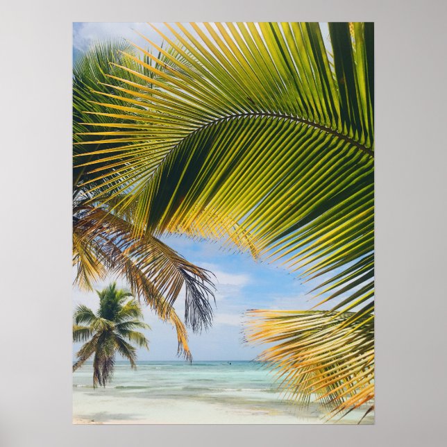 poster de Palms de praia (Frente)