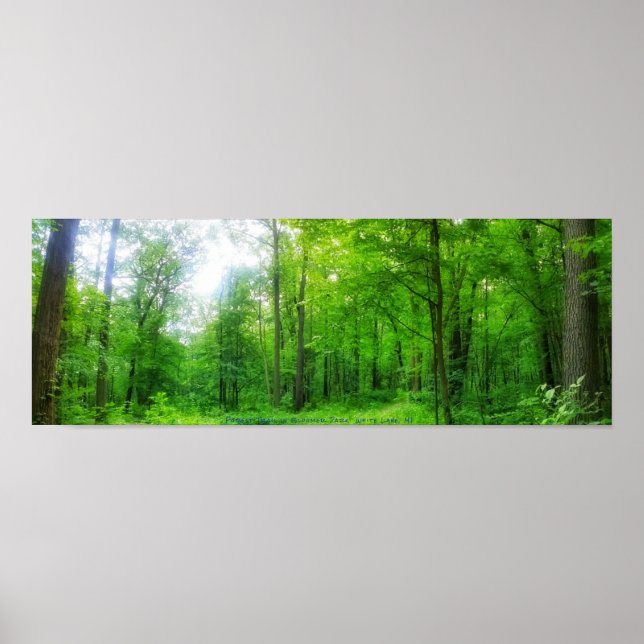 POSTER DE PANORAMA FLORESTA (Frente)