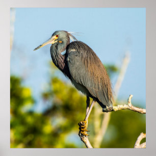 Poster de Papel de Arquivamento 24 x 24,81 Perfeit