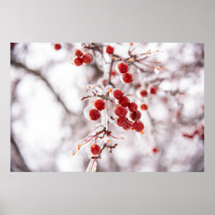 poster de parede 36x24