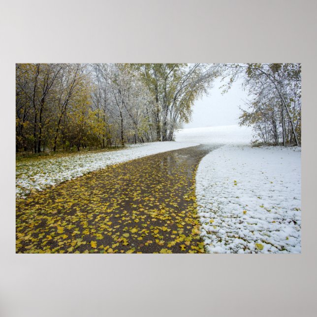 poster de parede 36x24 (Frente)