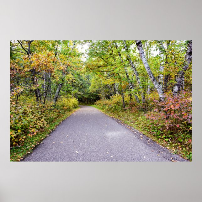 poster de parede 36x24 (Frente)