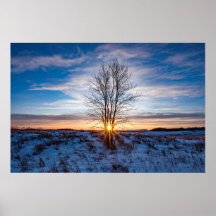 poster de parede 36x24