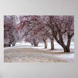 poster de parede 36x24