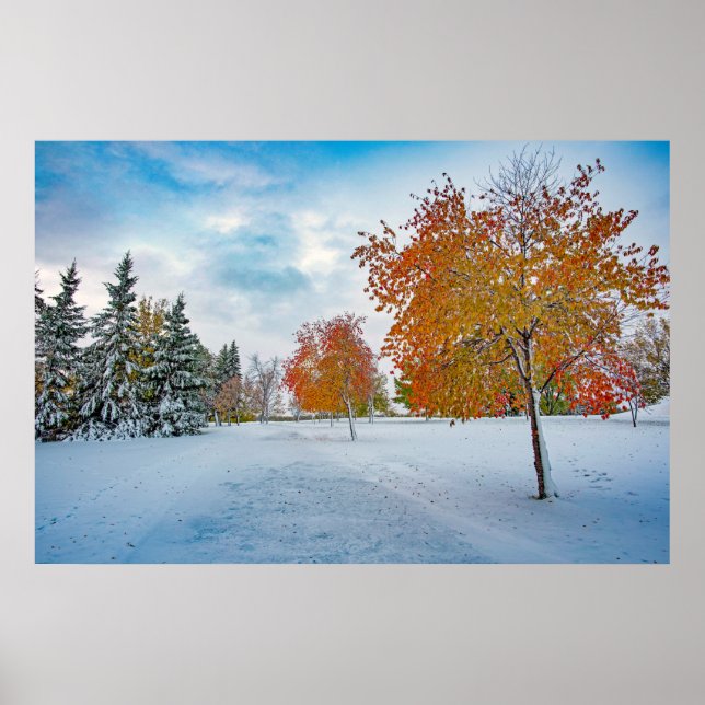 poster de parede 36x24 (Frente)