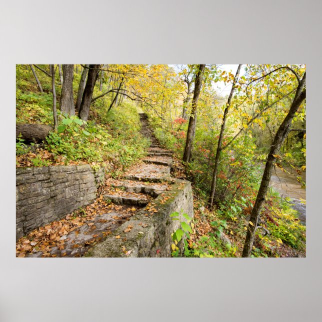 poster de parede 36x24 (Frente)