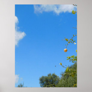 POSTER DE PAREDE ART E DESIGN