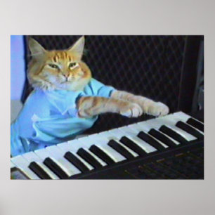 Poster de Parede de Gato do Teclado!