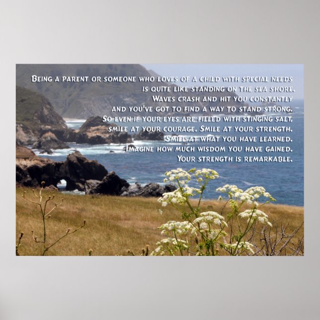 Poster de Parentalidade de necessidades especiais (Frente)