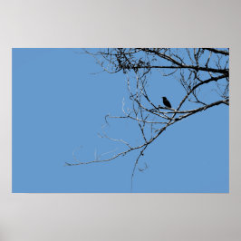 Poster de passarinho preto