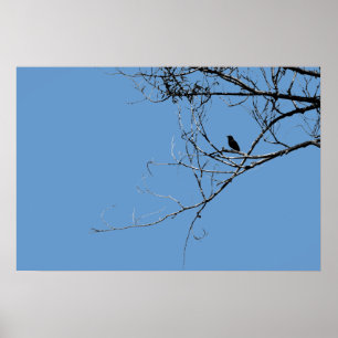 Poster de passarinho preto