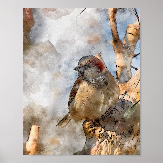 Poster de pássaro (Frente)