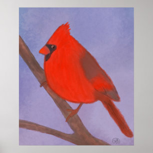 Poster de pássaro cardeal vermelho