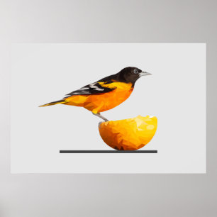 Poster de Pássaro de Oriole Minimalista Gordo