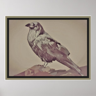 Poster de pássaros