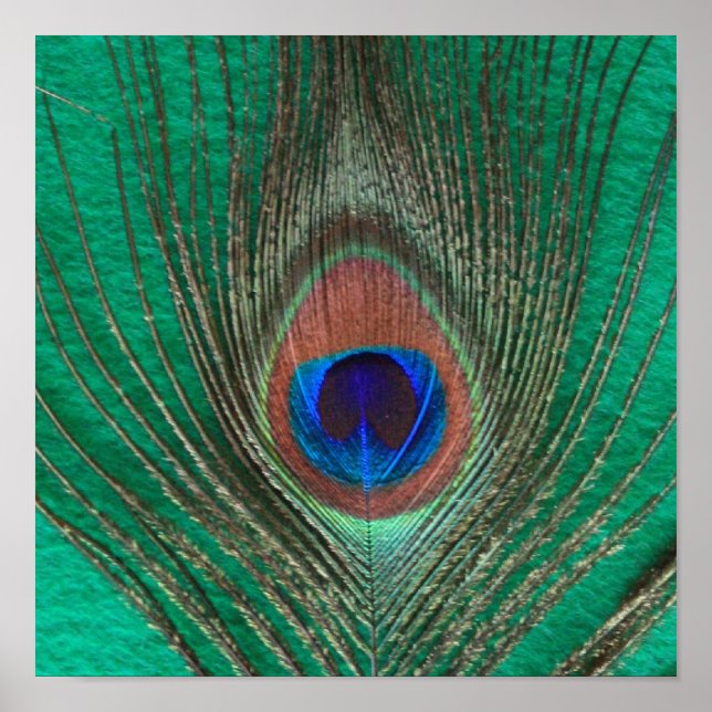 Poster de Pavão Verde (Frente)