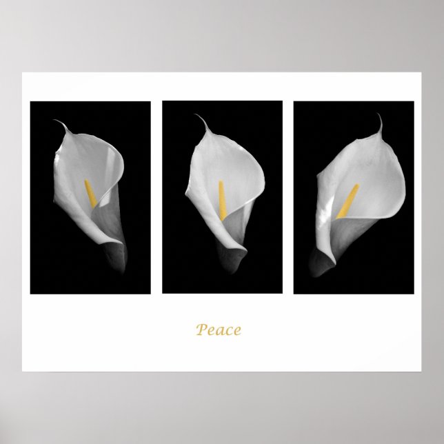 Poster de paz (Frente)