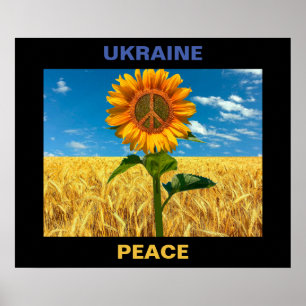 Poster de Paz na Ucrânia - 24"x20"