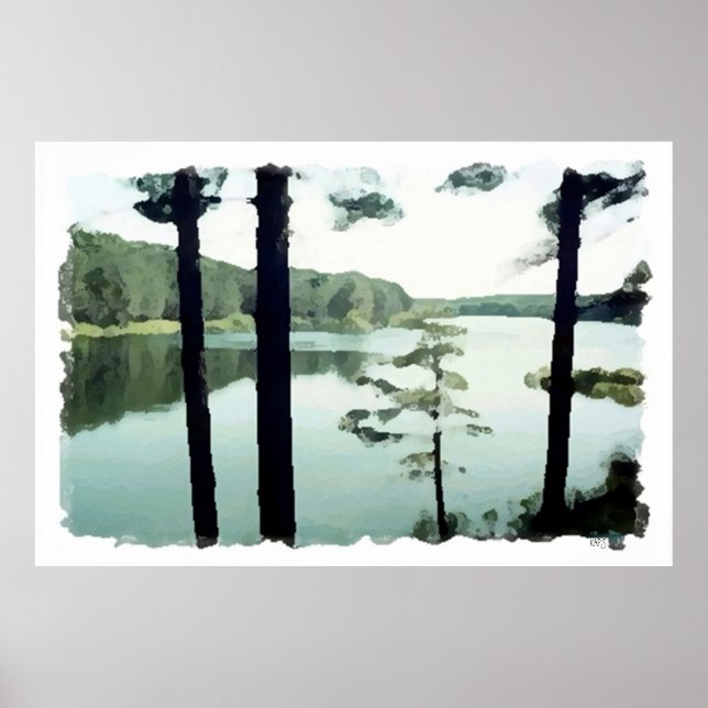 Poster de PB de akeview (Frente)