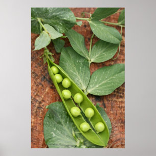 Poster de Pea Pod