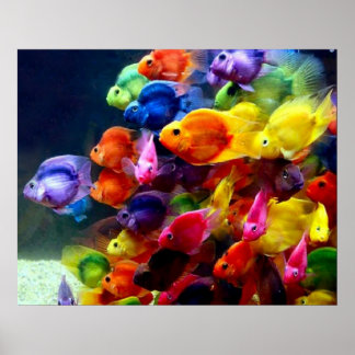 Poster de Peixe Arco-Íris