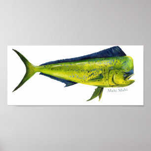 Poster de peixe Mahi