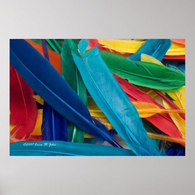 Poster de penas (Frente)