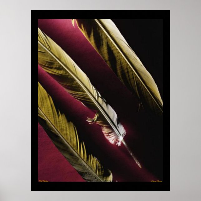 Poster de Penas Selvagens (Frente)
