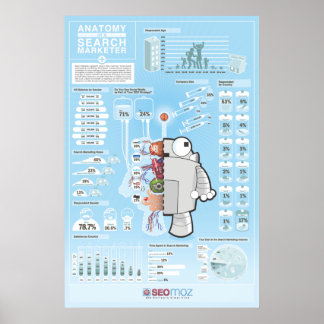 POSTER de pesquisa do setor do SEOmoz 2010